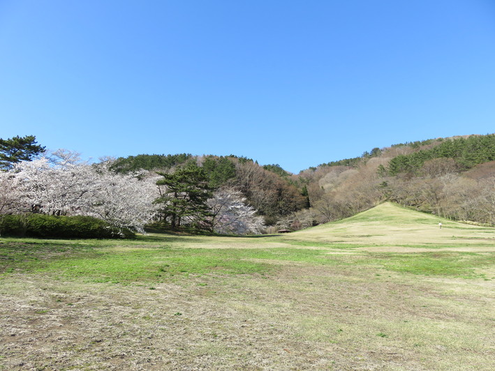 b0238249_20444382.jpg