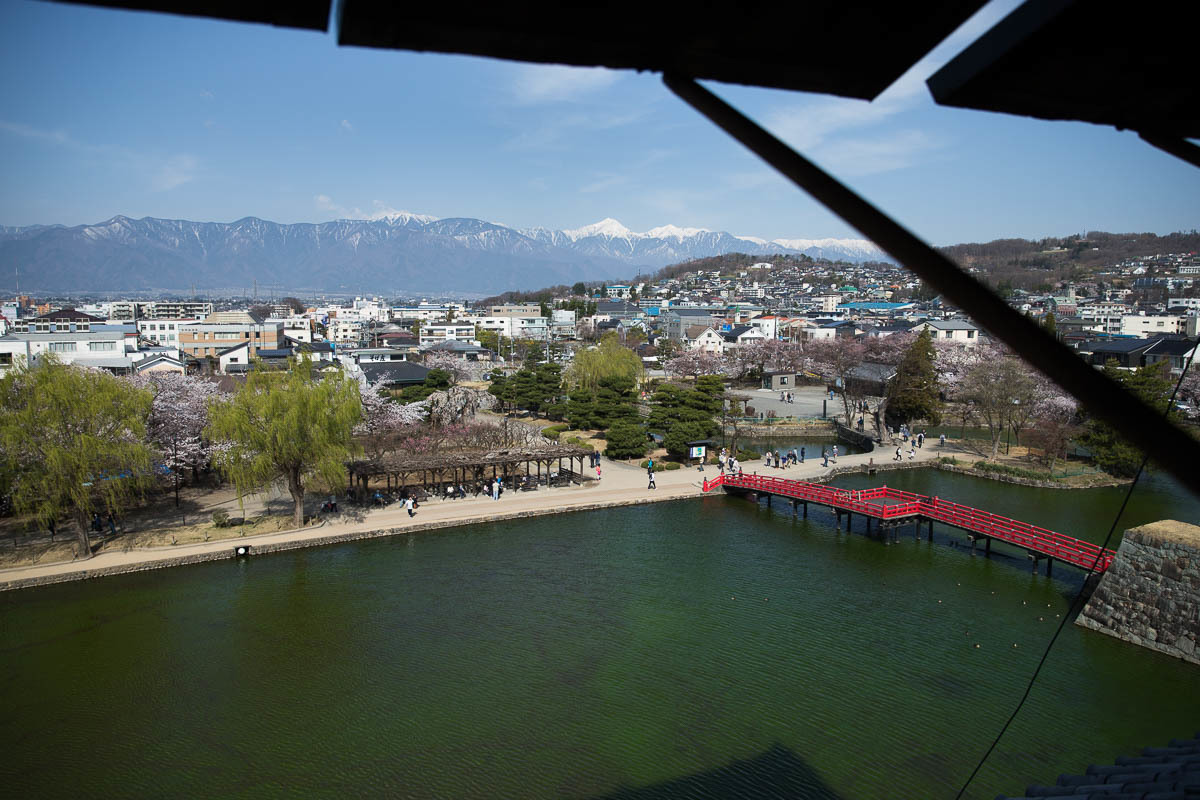 信濃路の桜　007_f0371554_20401677.jpg