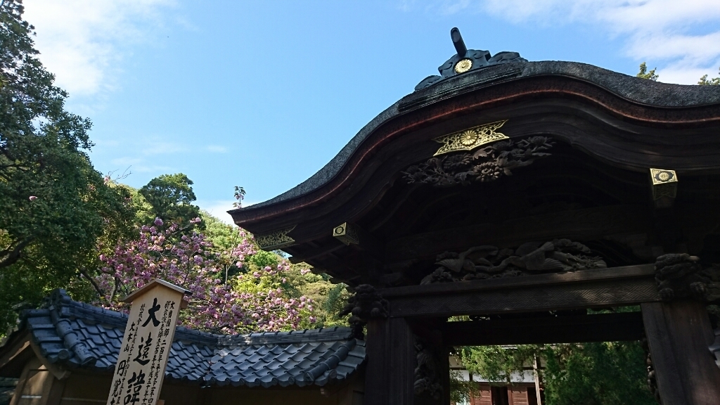 円覚寺4_b0352459_22063017.jpg