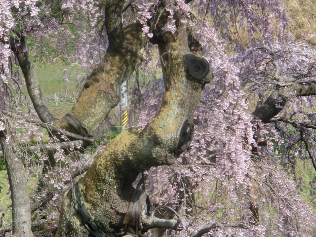c0328559_15442030.jpg