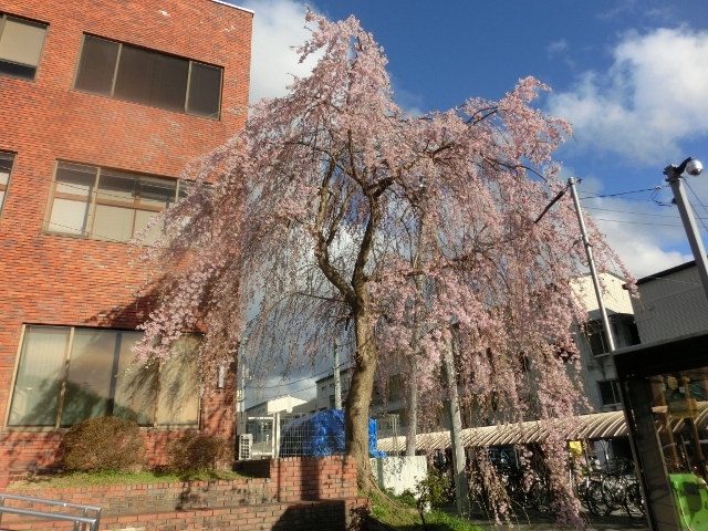 c0328559_15460464.jpg