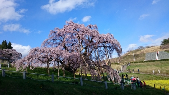 c0328559_15484160.jpg