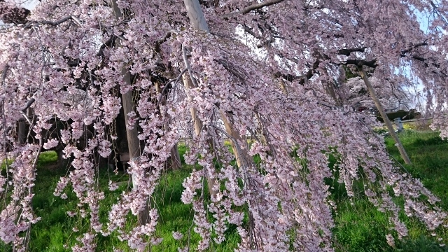c0328559_15493394.jpg