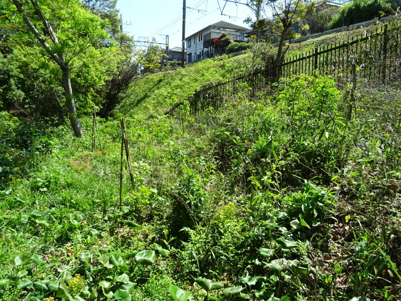 作業小屋内装開始・・・うみべの森_c0108460_21101254.jpg
