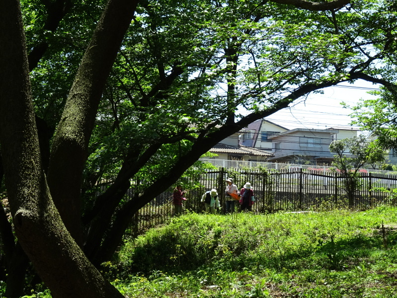作業小屋内装開始・・・うみべの森_c0108460_21112709.jpg
