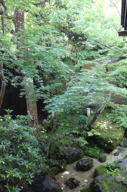 a0219573_21103346.jpeg