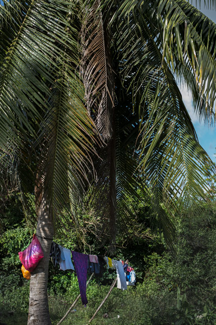 c0108673_114798.jpg