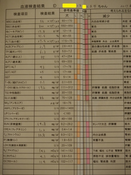 ドッグドックの結果　～2017年　血液結果～_c0357573_08145868.jpg