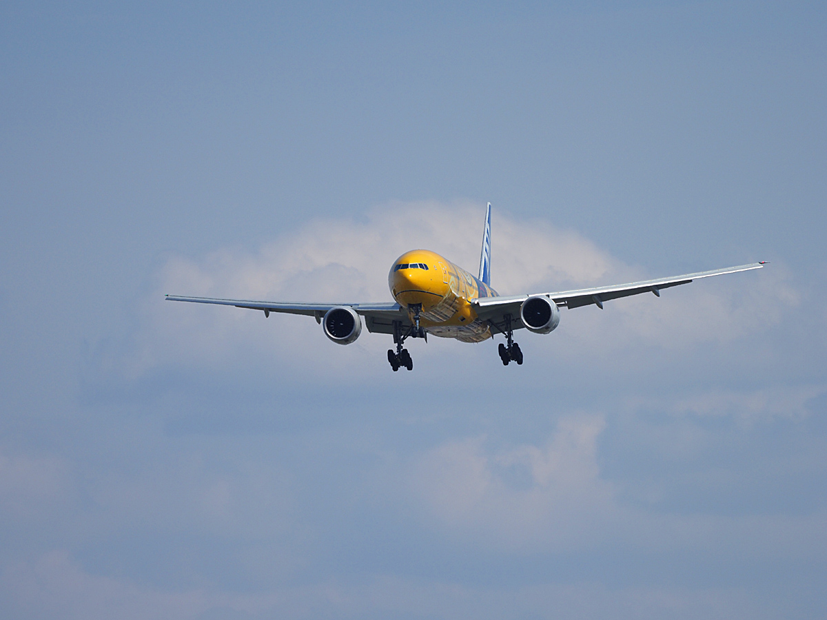 初めての鉄鳥（飛行機）撮り_d0283373_21402619.jpg