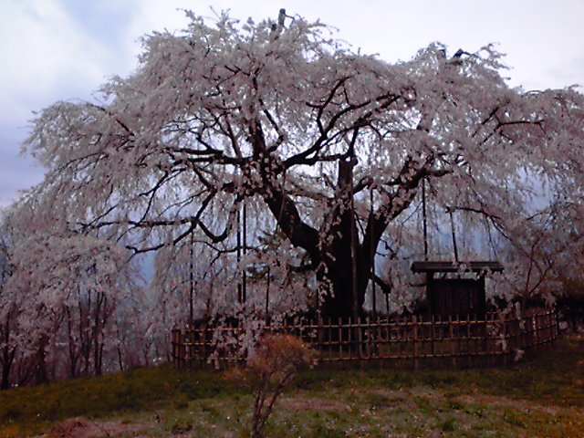 松本に行ってきました。_c0326874_1357428.jpg