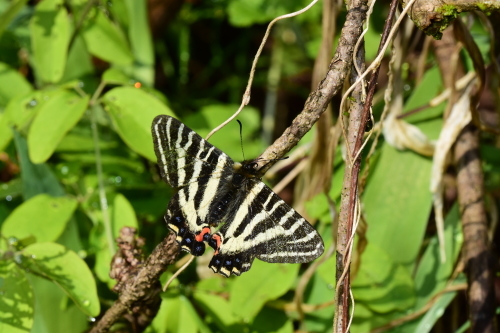 f0348480_16500380.jpg