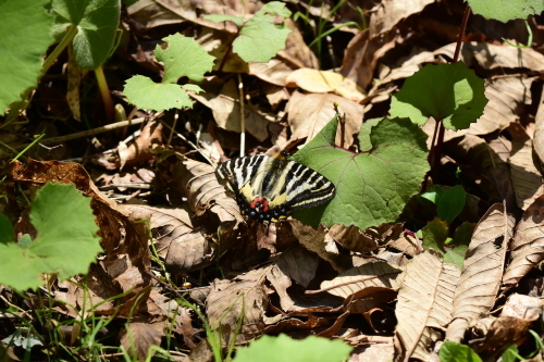 f0348480_17073253.jpg