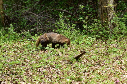 f0348480_17161939.jpg