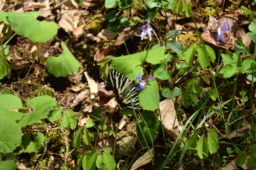 f0348480_17333897.jpg
