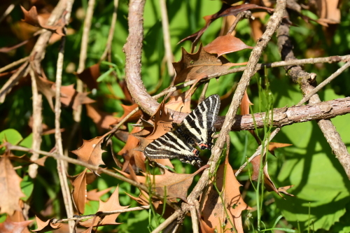f0348480_17514926.jpg
