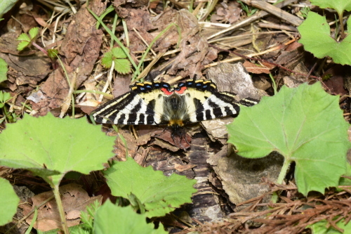 f0348480_17544245.jpg