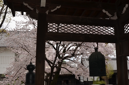 c0229483_051324.jpg