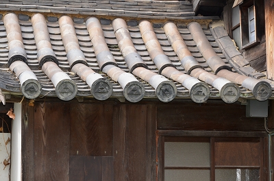 c0229483_059109.jpg