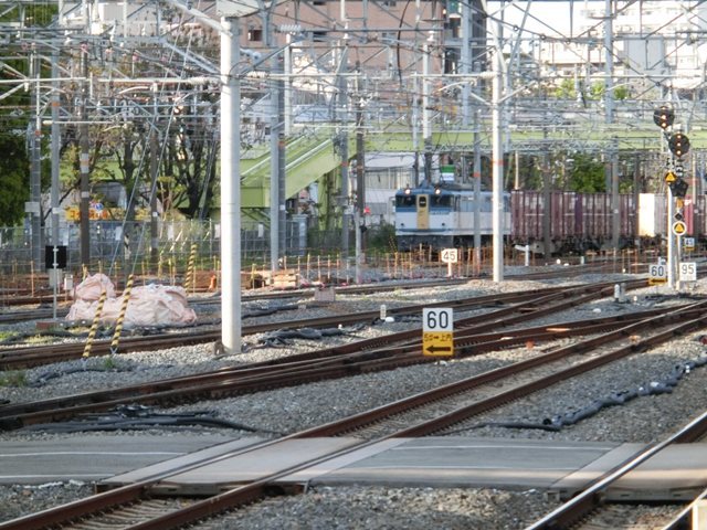 d0181492_00454349.jpg