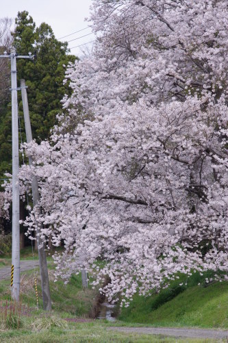 c0337494_16254931.jpg