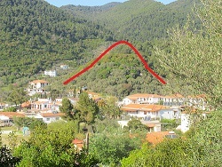 c0010496_23260147.jpg