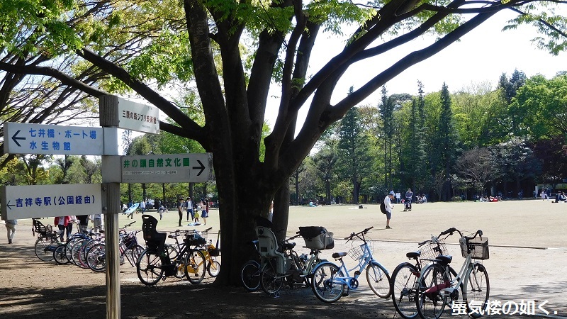 「月がきれい」舞台探訪001 三鷹市その1・学校と練習場(1話,3話,5話)_e0304702_21254821.jpg