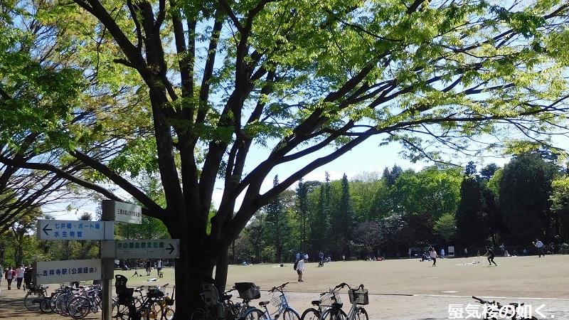 「月がきれい」舞台探訪001 三鷹市その1・学校と練習場(1話,3話,5話)_e0304702_21303410.jpg
