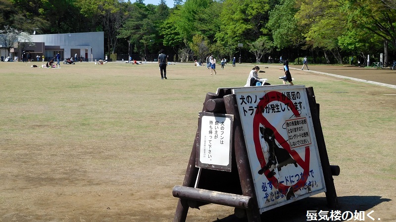 「月がきれい」舞台探訪001 三鷹市その1・学校と練習場(1話,3話,5話)_e0304702_21342830.jpg