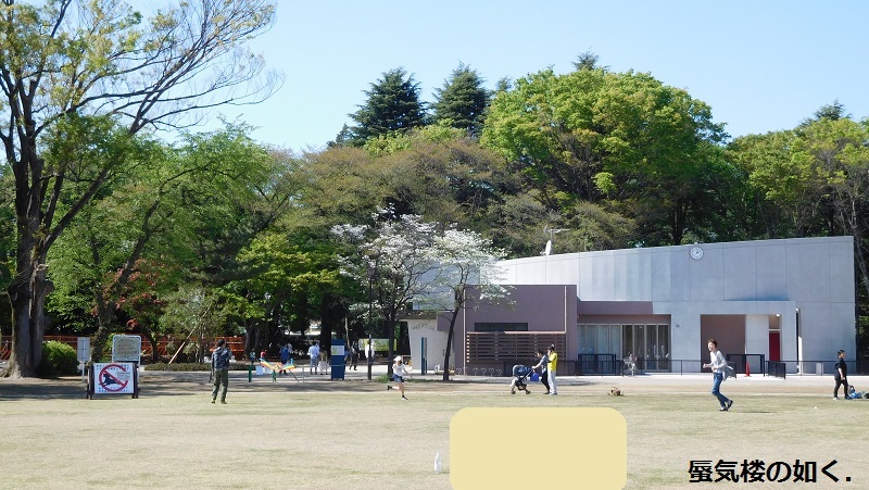 「月がきれい」舞台探訪001 三鷹市その1・学校と練習場(1話,3話,5話)_e0304702_21363397.jpg