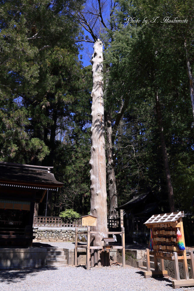 d0334006_20202847.jpg