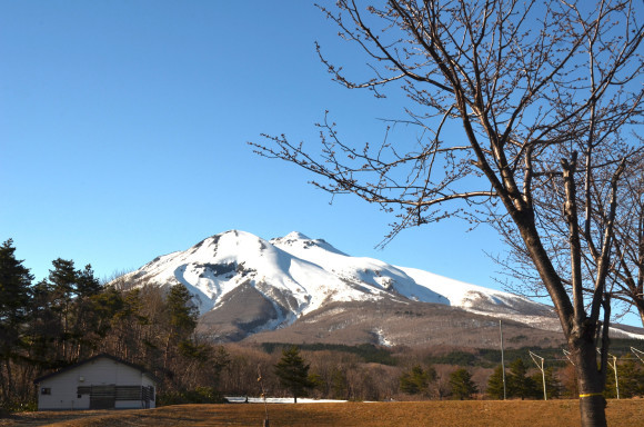 【あるとと】桜を見たり山に行ってみた【Ｚ２５０】_c0336907_19200319.jpg