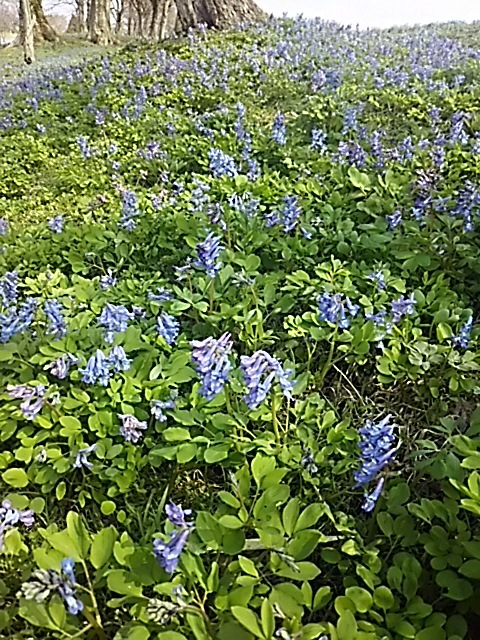 f0316507_18412254.jpg