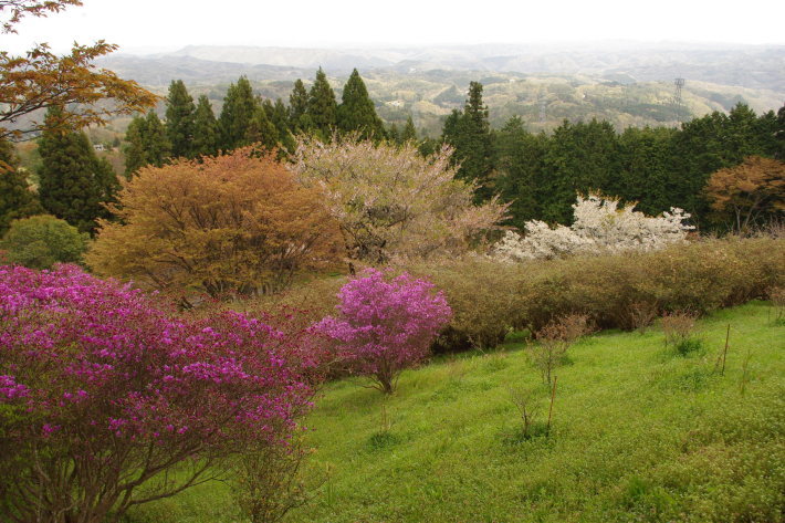 d0341514_07421449.jpg