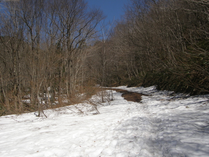 d0341514_09592956.jpg