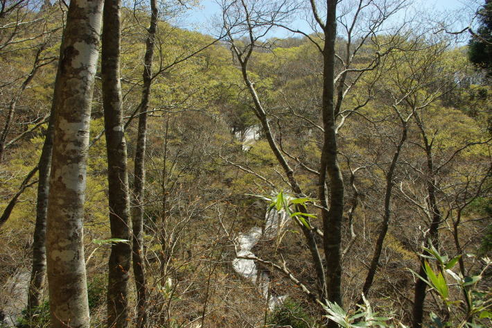 d0341514_10062964.jpg