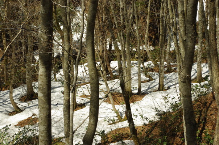 d0341514_10431289.jpg