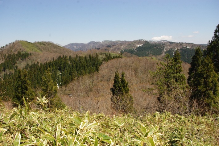 d0341514_10540639.jpg