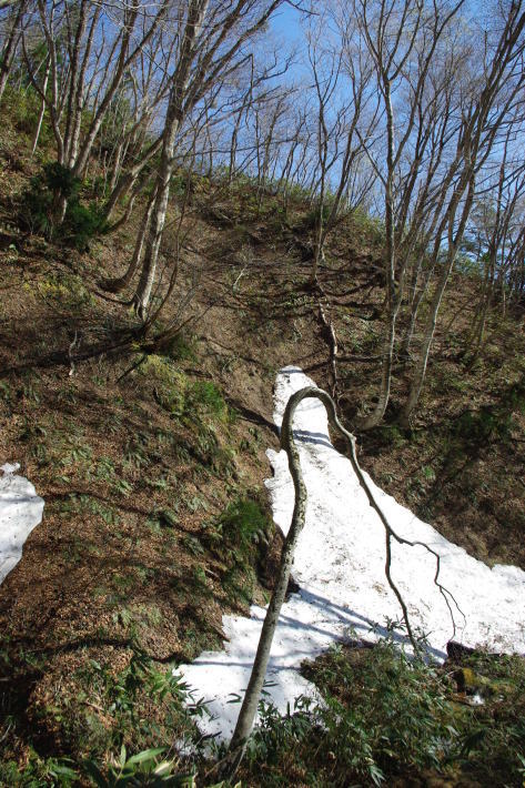 d0341514_17381341.jpg