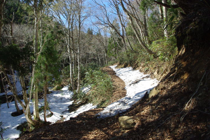 d0341514_17384320.jpg