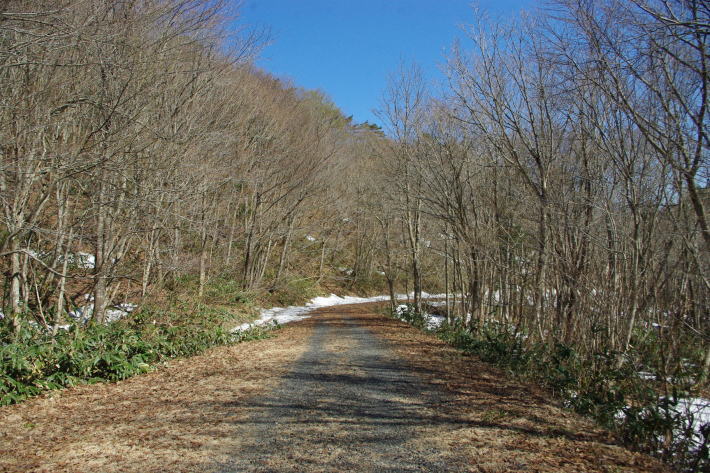 d0341514_17394227.jpg