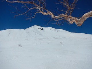 c0359615_22131118.jpg