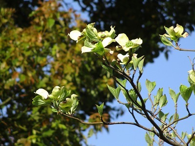 e0373815_13025270.jpg