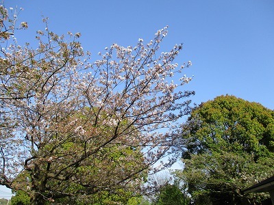 e0373815_13031872.jpg
