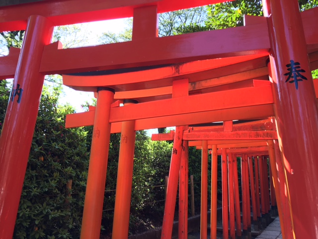 根津神社　つつじまつり_f0101615_1141864.jpg