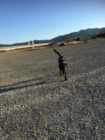 c0114121_9295844.jpg