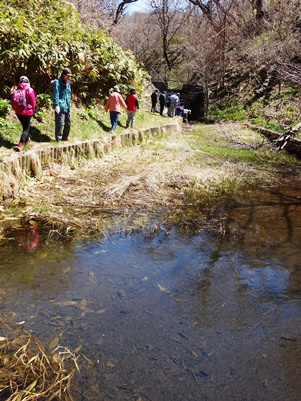 c0204725_144279.jpg