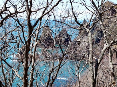 c0204725_1447398.jpg