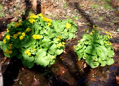 c0204725_15152612.jpg