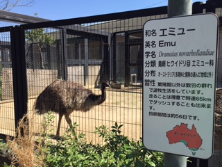 福山動物園＆たかの巣カフェ_a0071926_11254155.jpg