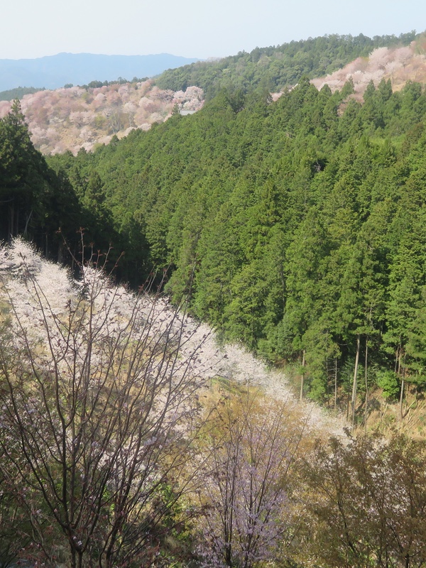 d0352628_1036375.jpg